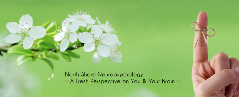 North Shore Neuropsychology Services